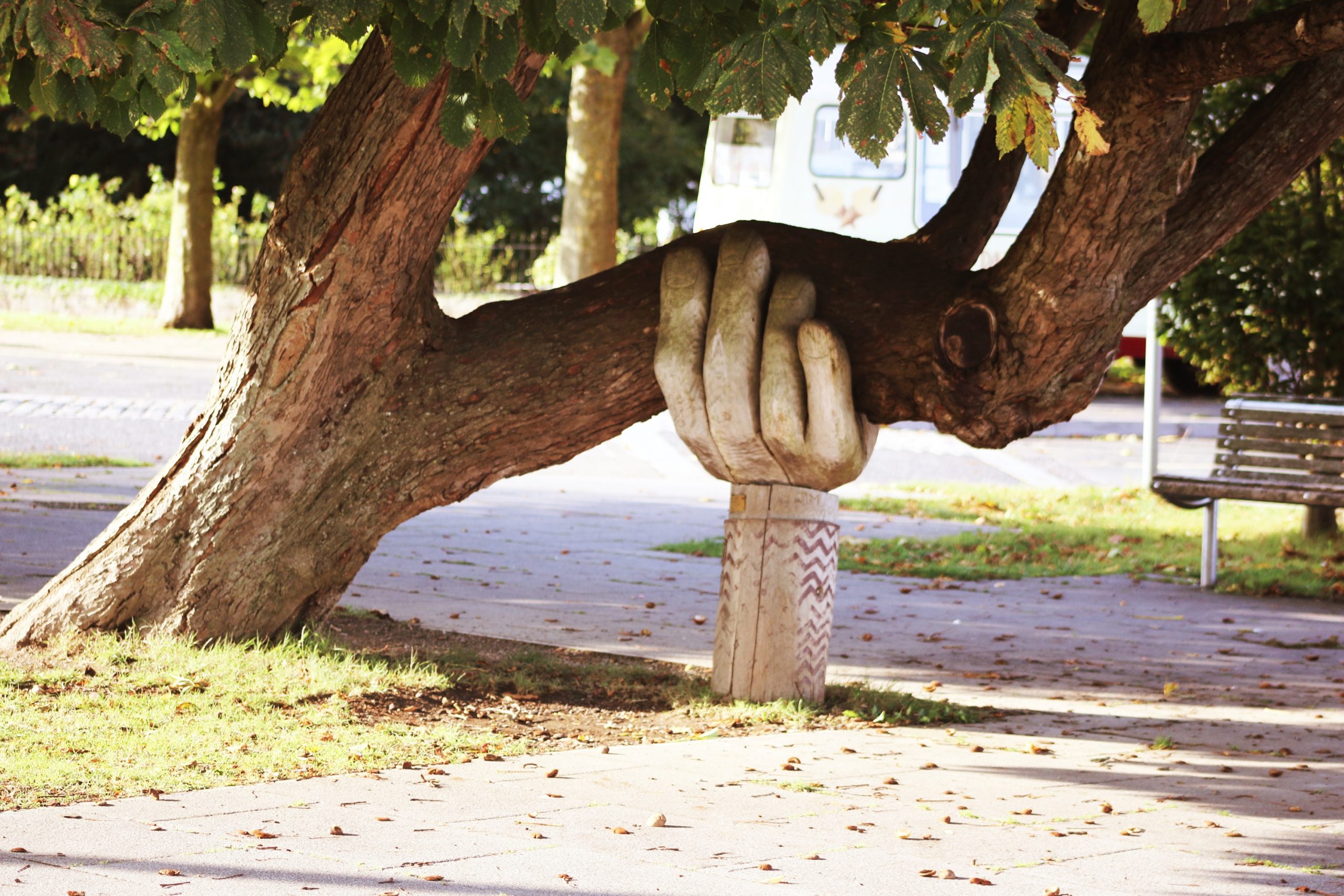 Ein Ast wird von einer großen, realistischen Skulptur einer menschlichen Hand gestützt, die symbolisiert, wie wir uns gegenseitig unterstützen. Die Hand scheint den Ast im Schatten des Baumes hochzuhalten. Sonnenlicht fällt durch die Blätter und wirft gesprenkelte Schatten auf den Boden.