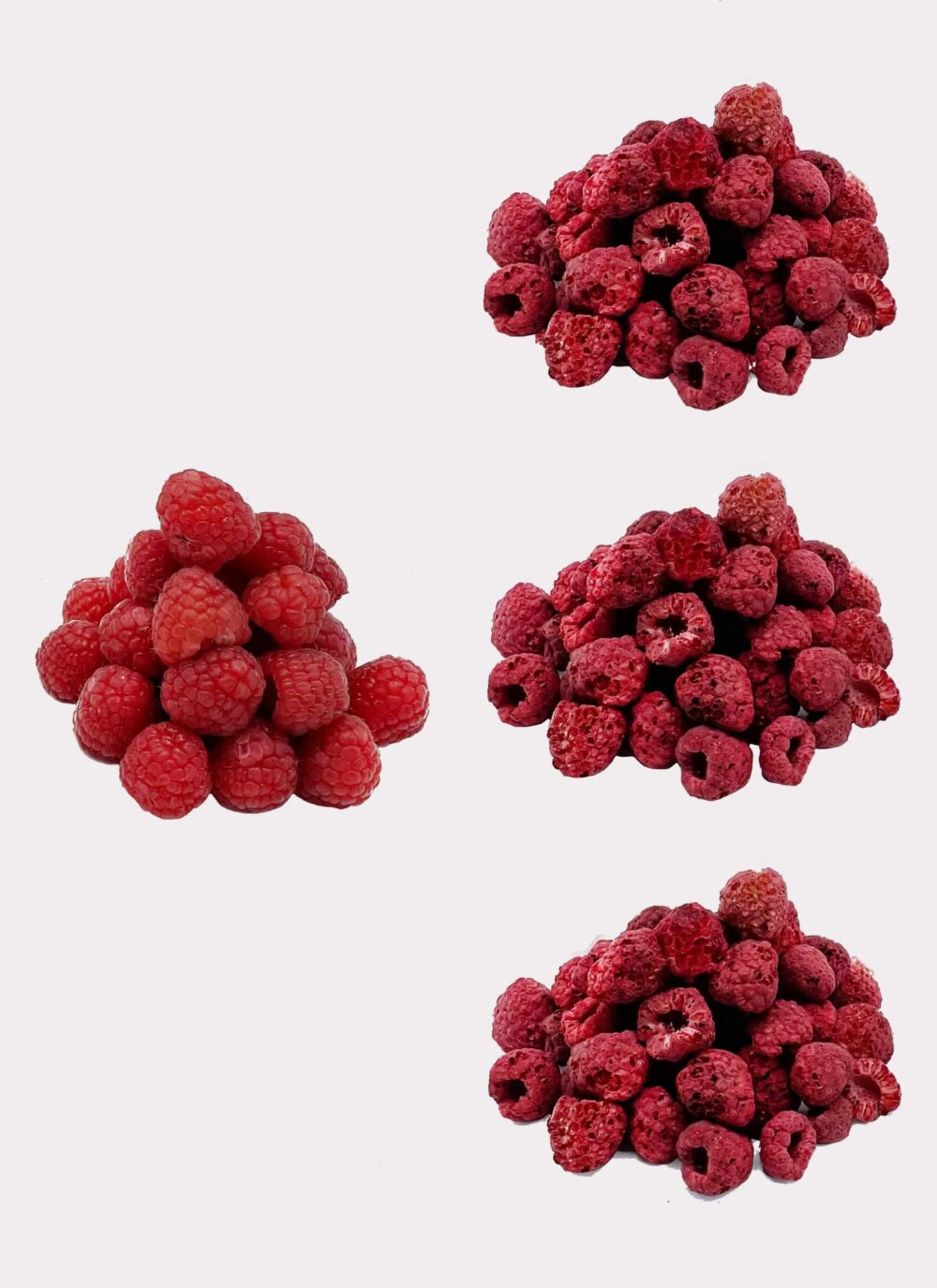 Vier kleine Stapel frischer Himbeeren sind auf einem hellen Hintergrund angeordnet. Jeder Stapel besteht aus einer Traube tiefroter Himbeeren, deren strukturierte Oberfläche an den lebhaften Farbton sowohl frischer als auch gefriergetrockneter Himbeersorten erinnert.