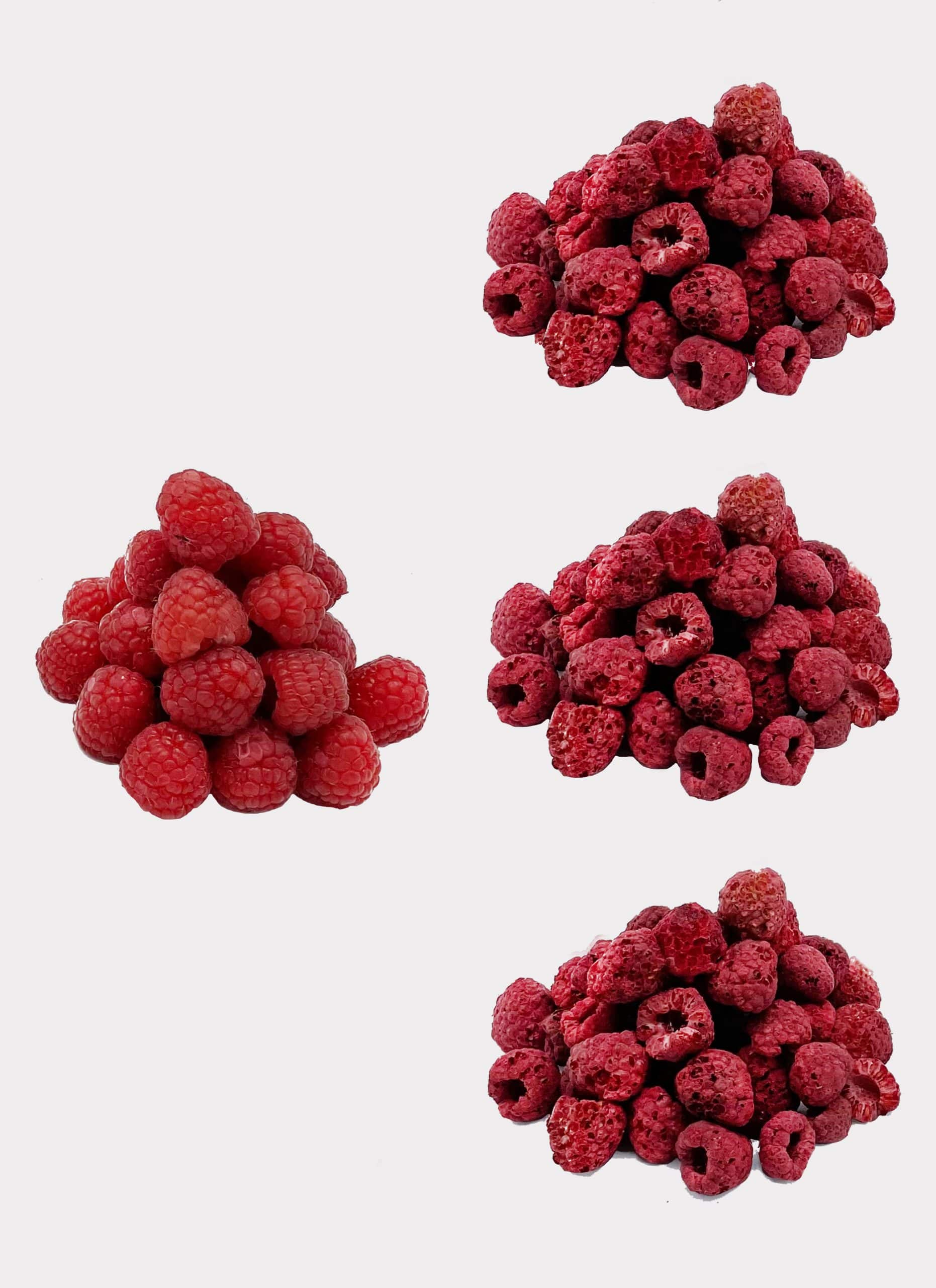 Vor einem weißen Hintergrund werden vier Himbeerbüschel präsentiert. Das Büschel oben links enthält ganze Himbeeren, während die anderen drei leicht zerdrückte Himbeeren enthalten. Es ist eine verlockende Präsentation für jeden Himbeerfan – gefriergetrocknete Himbeeren.