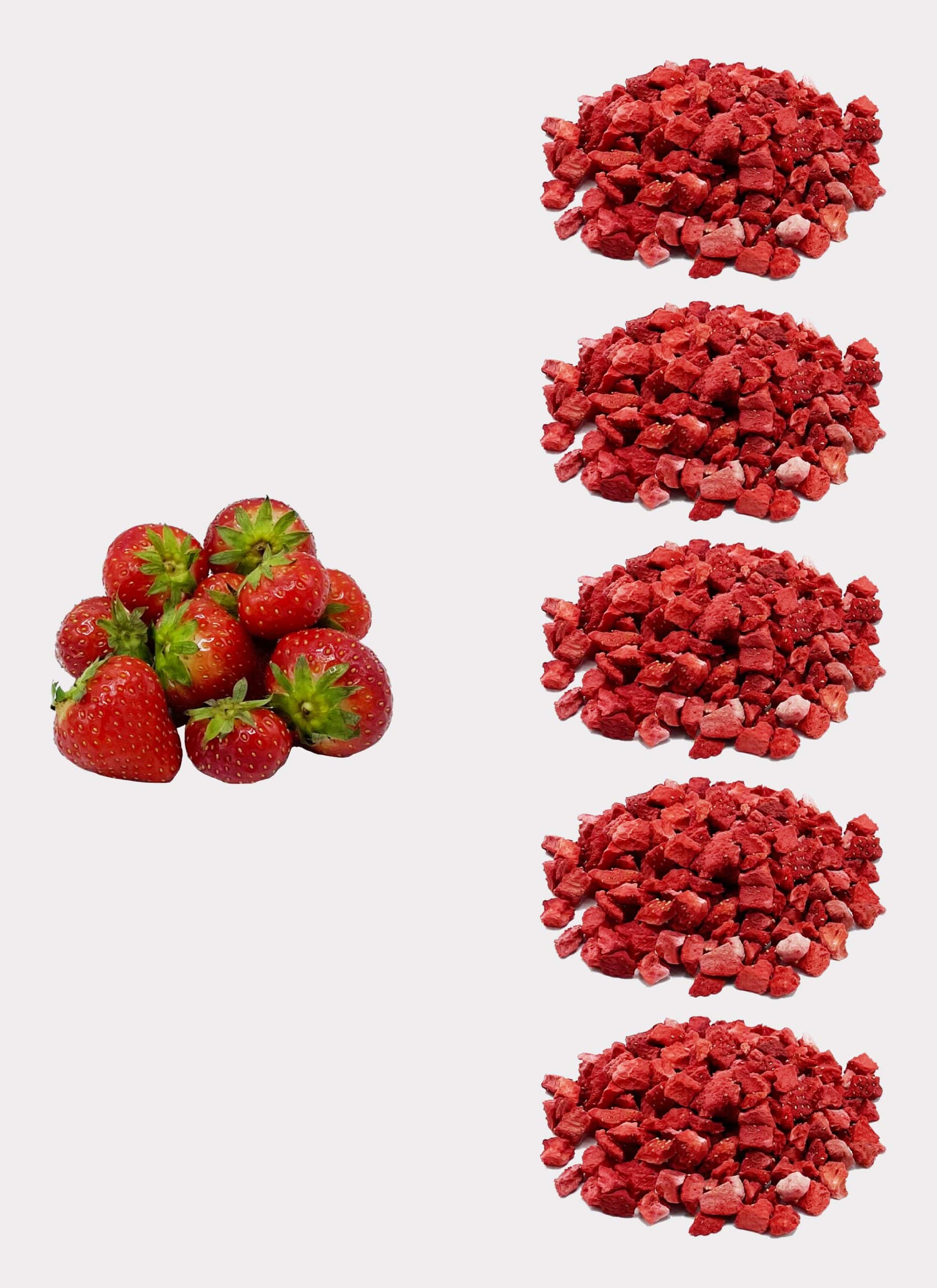 Links sind frische Erdbeeren zu sehen, rechts sind fünf Stapel gefriergetrockneter Erdbeeren vertikal vor einem weißen Hintergrund angeordnet.